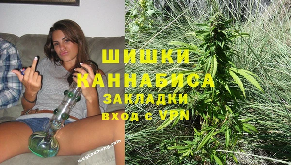 шишки Алексеевка